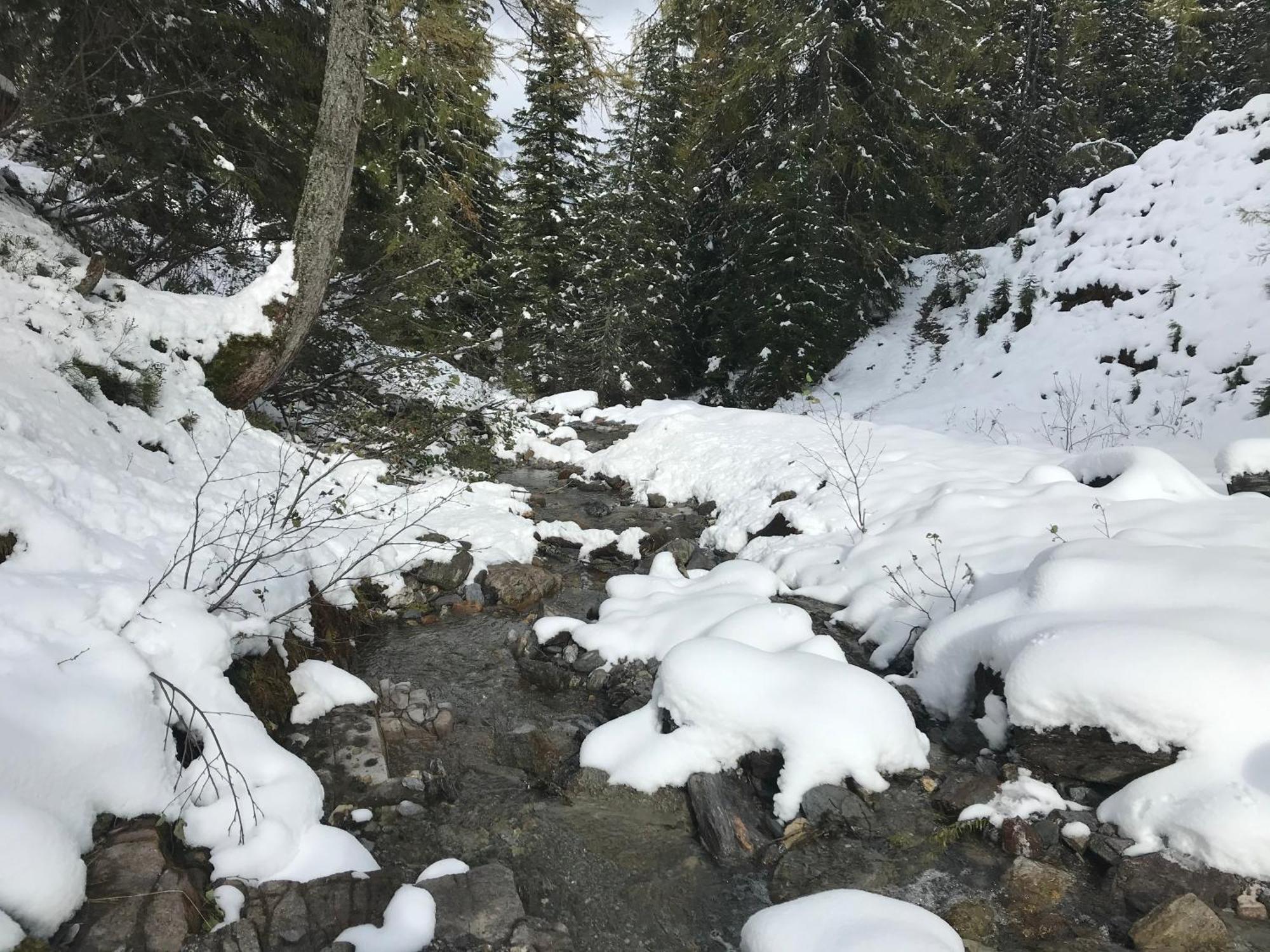 Alpendomizil Pia Lägenhet Mühlbach am Hochkönig Exteriör bild