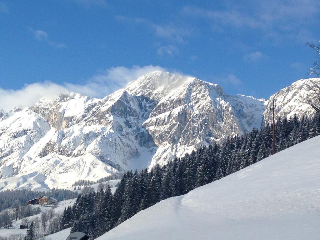 Alpendomizil Pia Lägenhet Mühlbach am Hochkönig Exteriör bild