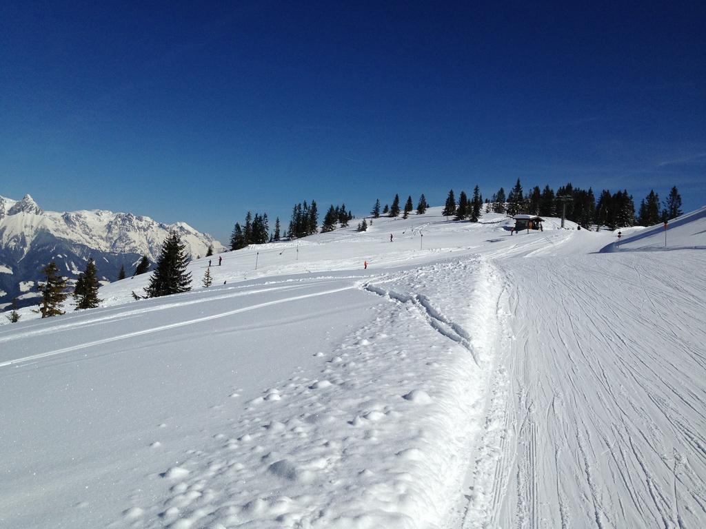 Alpendomizil Pia Lägenhet Mühlbach am Hochkönig Exteriör bild