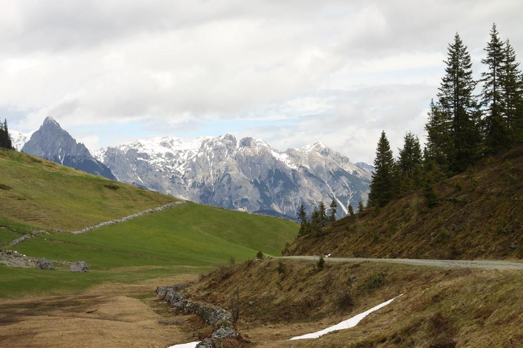 Alpendomizil Pia Lägenhet Mühlbach am Hochkönig Exteriör bild