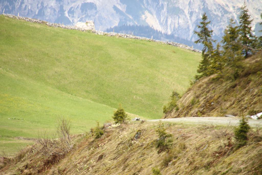 Alpendomizil Pia Lägenhet Mühlbach am Hochkönig Exteriör bild
