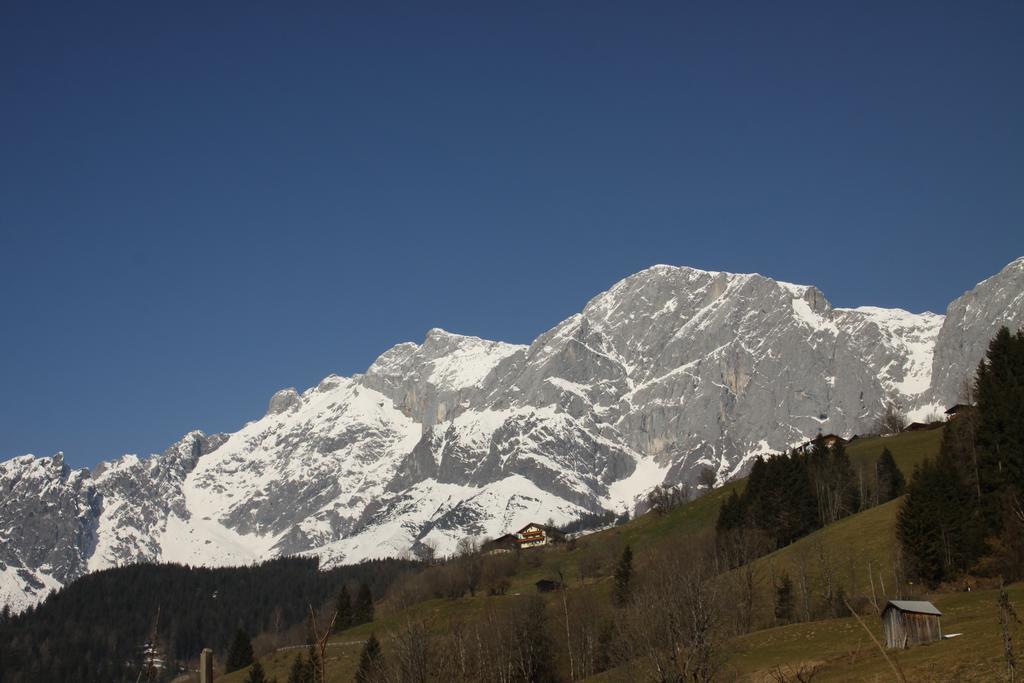 Alpendomizil Pia Lägenhet Mühlbach am Hochkönig Exteriör bild
